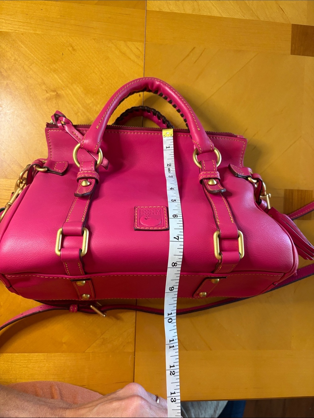 Dooney & Bourke Fuchsia Florentine Satchel - Picture 4 of 15